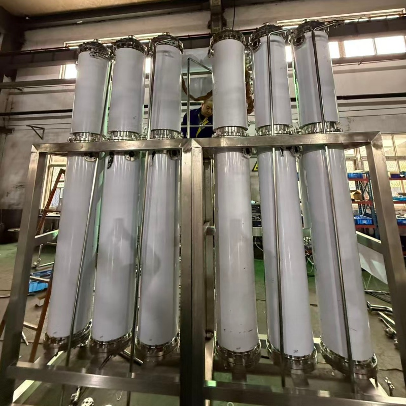 Lds 6000L/H Automatic Six Column Industrial Water Purification System