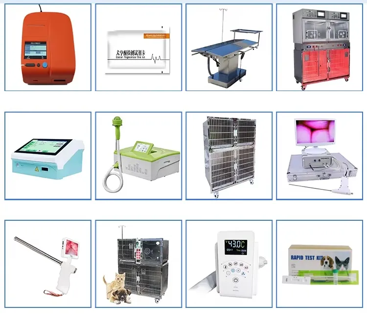 Recommended Device 2