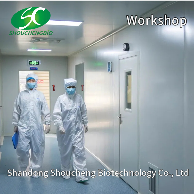 Wholesale Creatine Monohydrate Powder Supplement