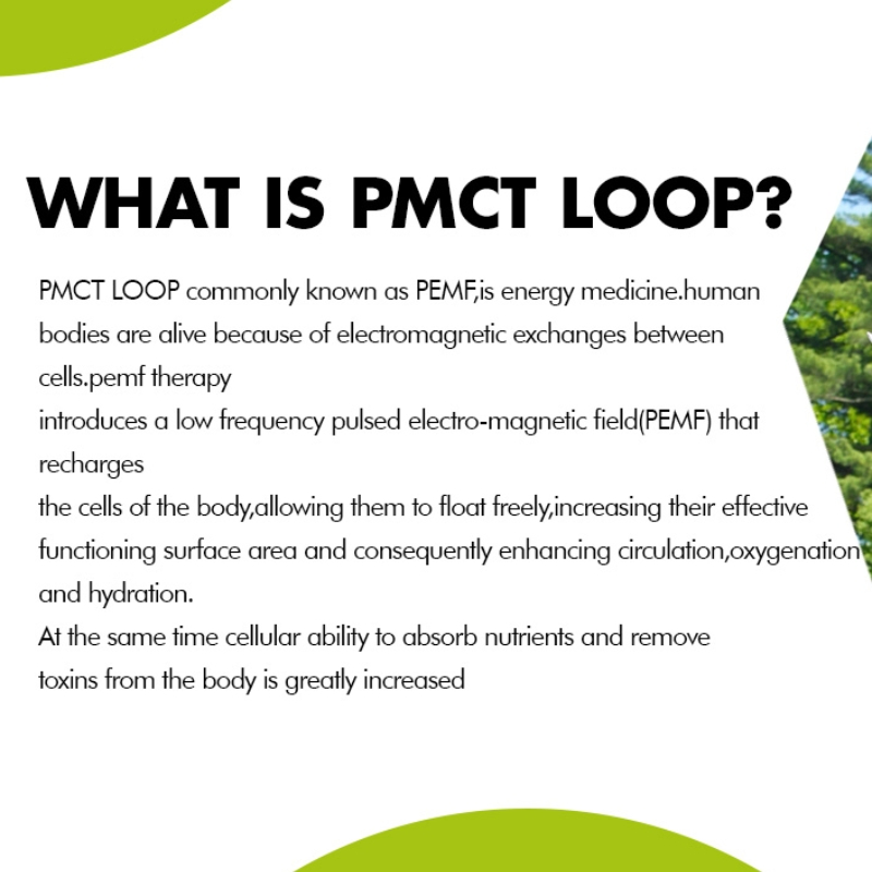Dual Loop Magnetic Therapy System for Muscle Relaxation and Pain Management