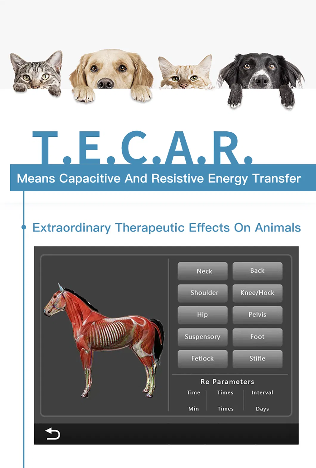 Smart Tecar Interface