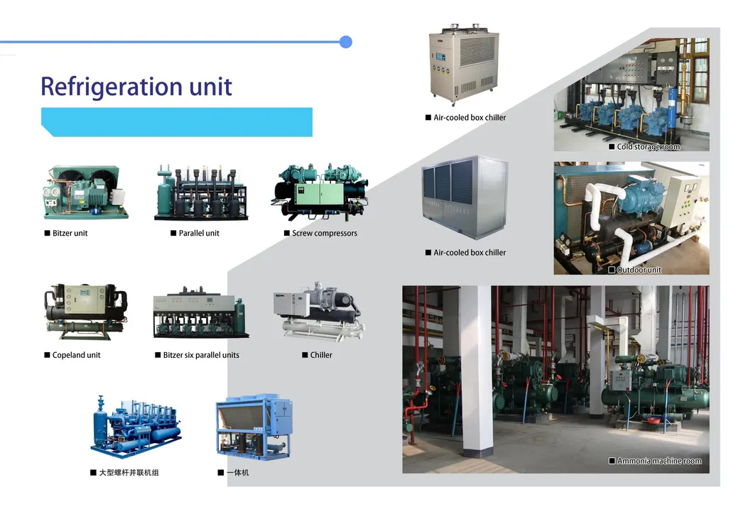 Solar Cold Store Detail