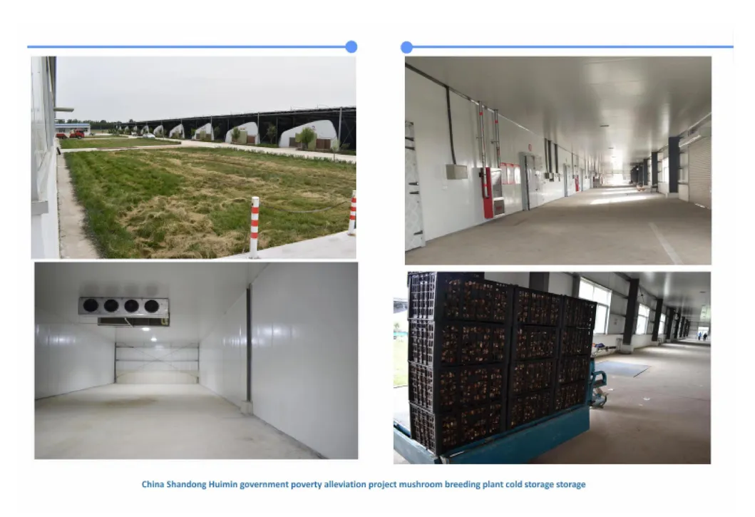 Solar Cold Room Detail 18