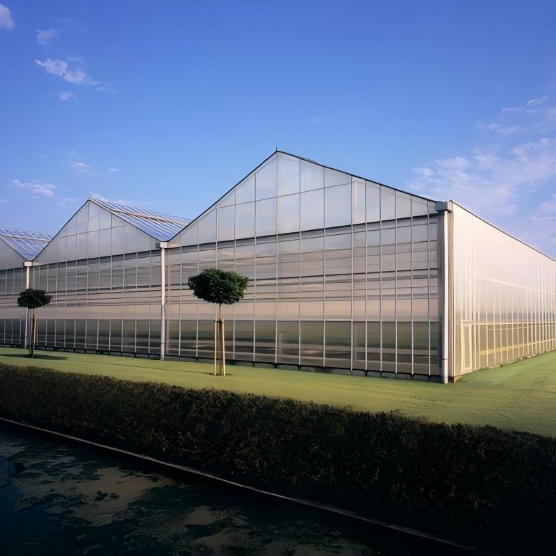 Lightweight FRP Clear Roofing Sheets Fiberglass Reinforced Plastic Transparent Solar Panel Roof Tile with Customized Color