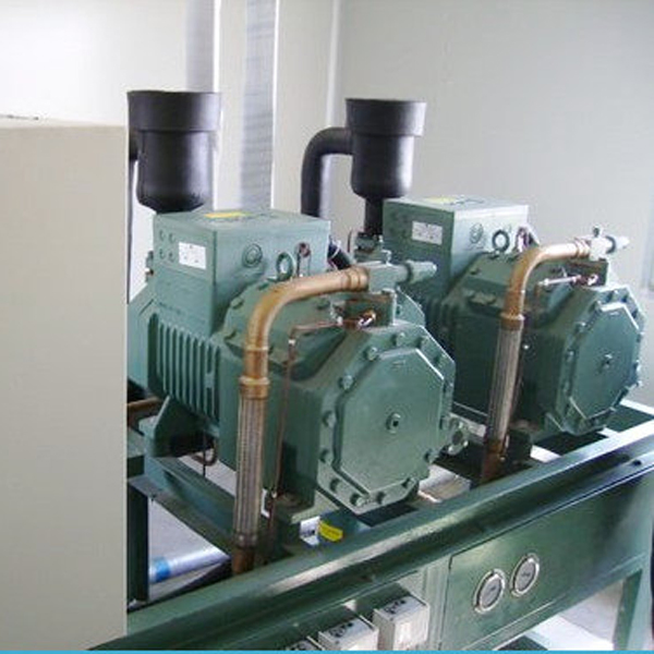 High Quality Industrial Walk in Blast Deep Freezer Food Storage Cold Room