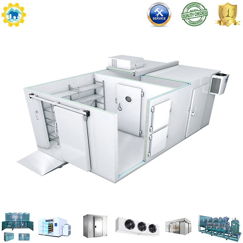 Fruit Fish Storage Walk in Freezer Solar Power Cold Room