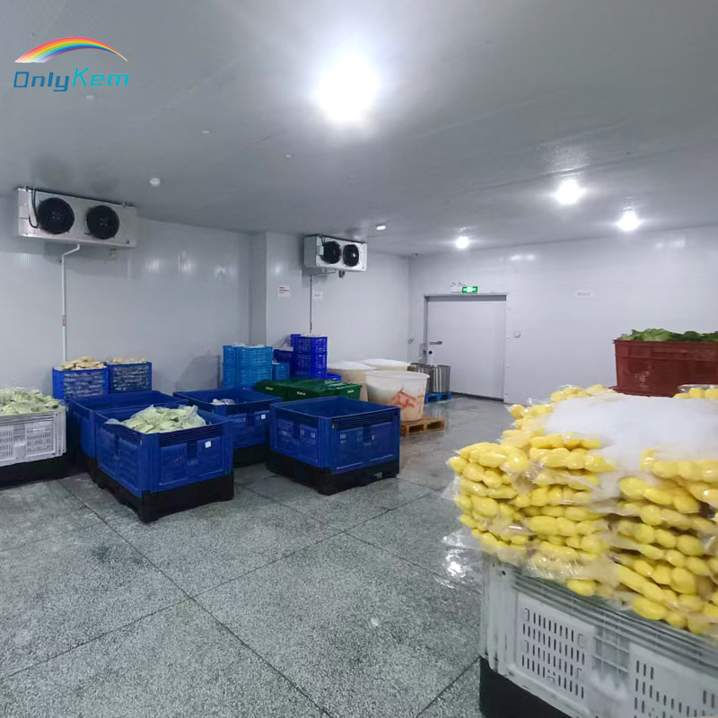 Customized Large Cold Room Storage Walk in Blast Freezer Room for Meat