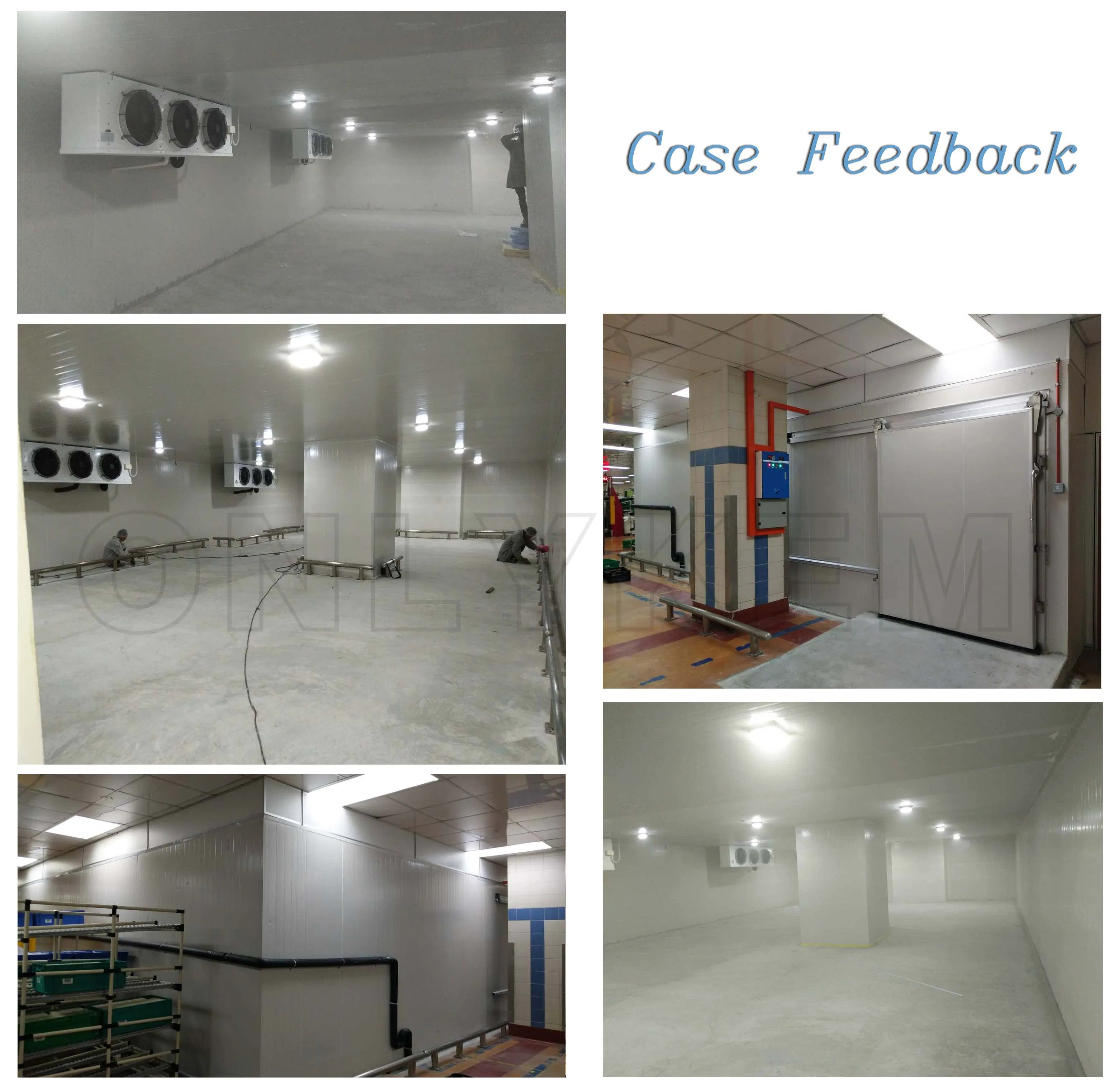 NSF CE Solar-Powered Frozen Meat Walk in Freezer Room for Fish