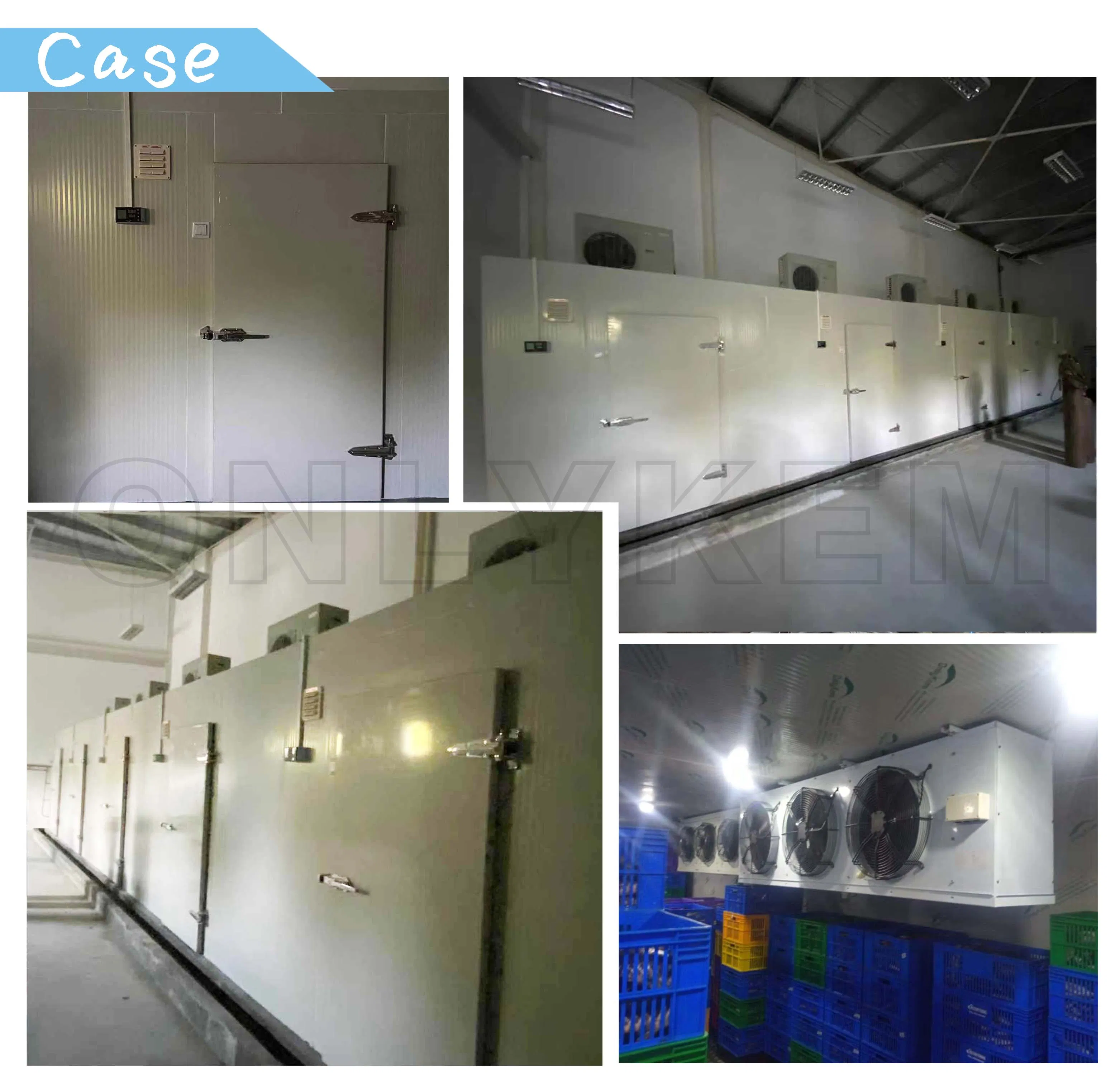 Walk-in Chiller Room for Fruits and Vegetables Cold Storage Room NSF ETL