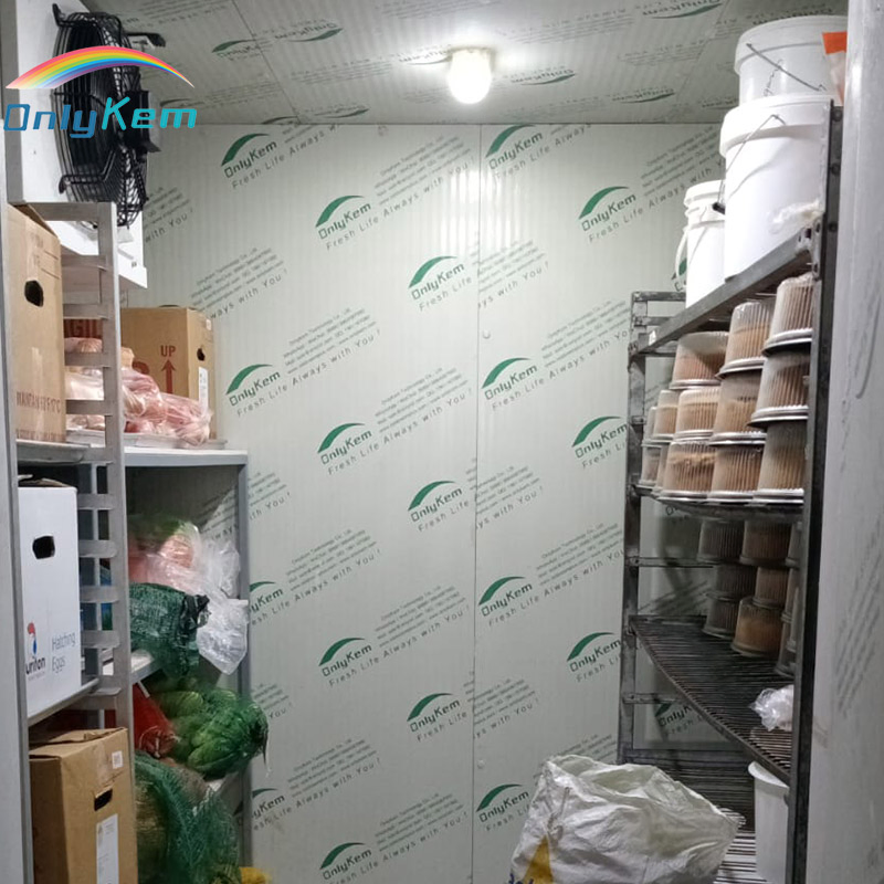 Walk-in Chiller Room for Fruits and Vegetables Cold Storage Room NSF ETL