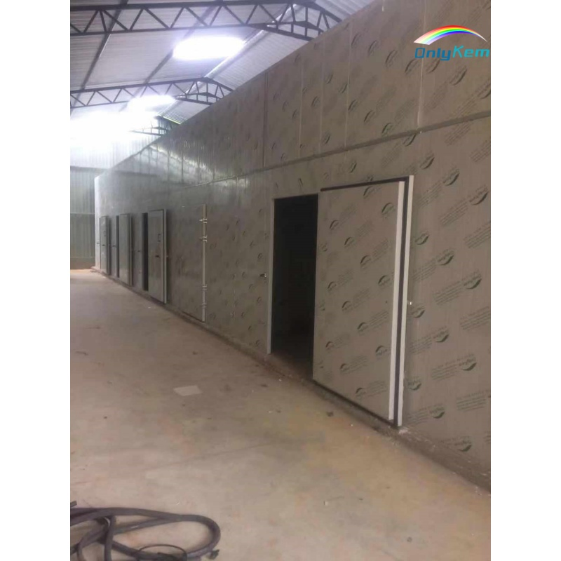 Cold Storage High Efficiency Walk in Freezer Blast Freezer Room for Fish