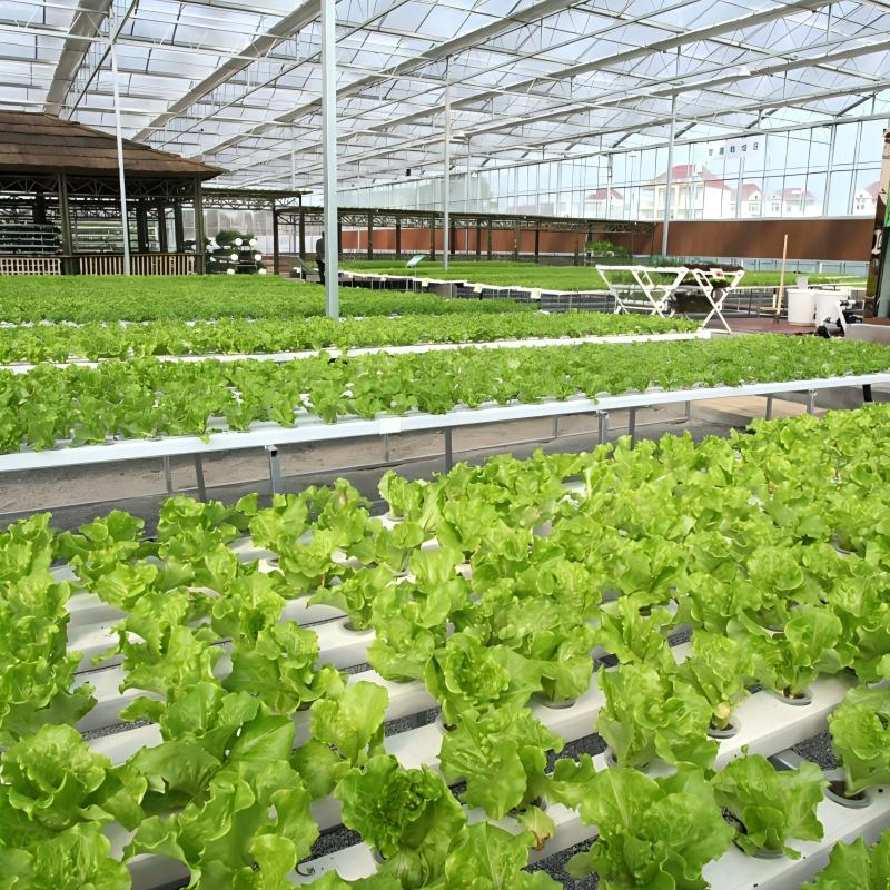 Lightweight Corrugated Plastic Roofing Sheet Fiber FRP Transparent Solar Panel Roof Tile for Green House Building