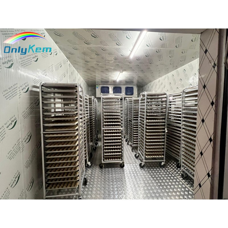 NSF CE Solar-Powered Frozen Meat Walk in Freezer Room for Fish