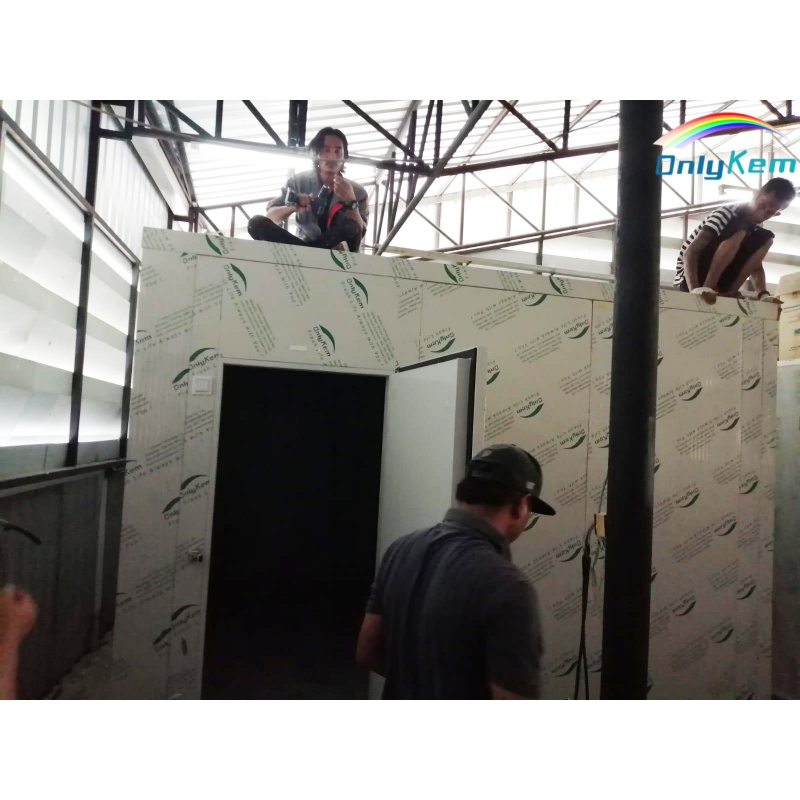 Cold Storage High Efficiency Walk in Freezer Blast Freezer Room for Fish