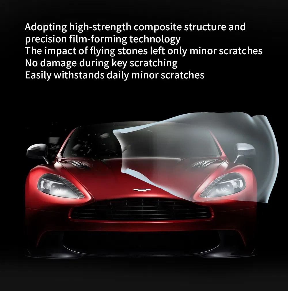 Window Film Detail 5