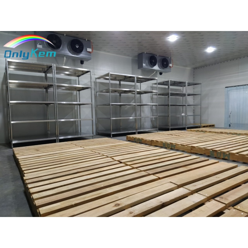 Walk in Cold Room 20 FT Refrgirater Container for Vegetables and Fruits