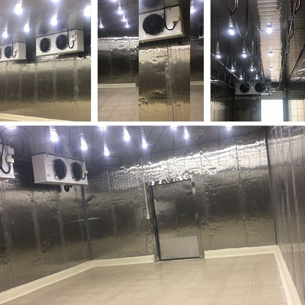 Stainless Steel Cold Storage Walk-in Cooler &amp; Freezer for Food Processing