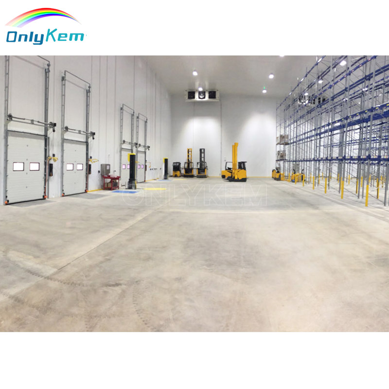 Large Capacity Walk in Cold Storage Room Freezer Chambre Froide for Fish