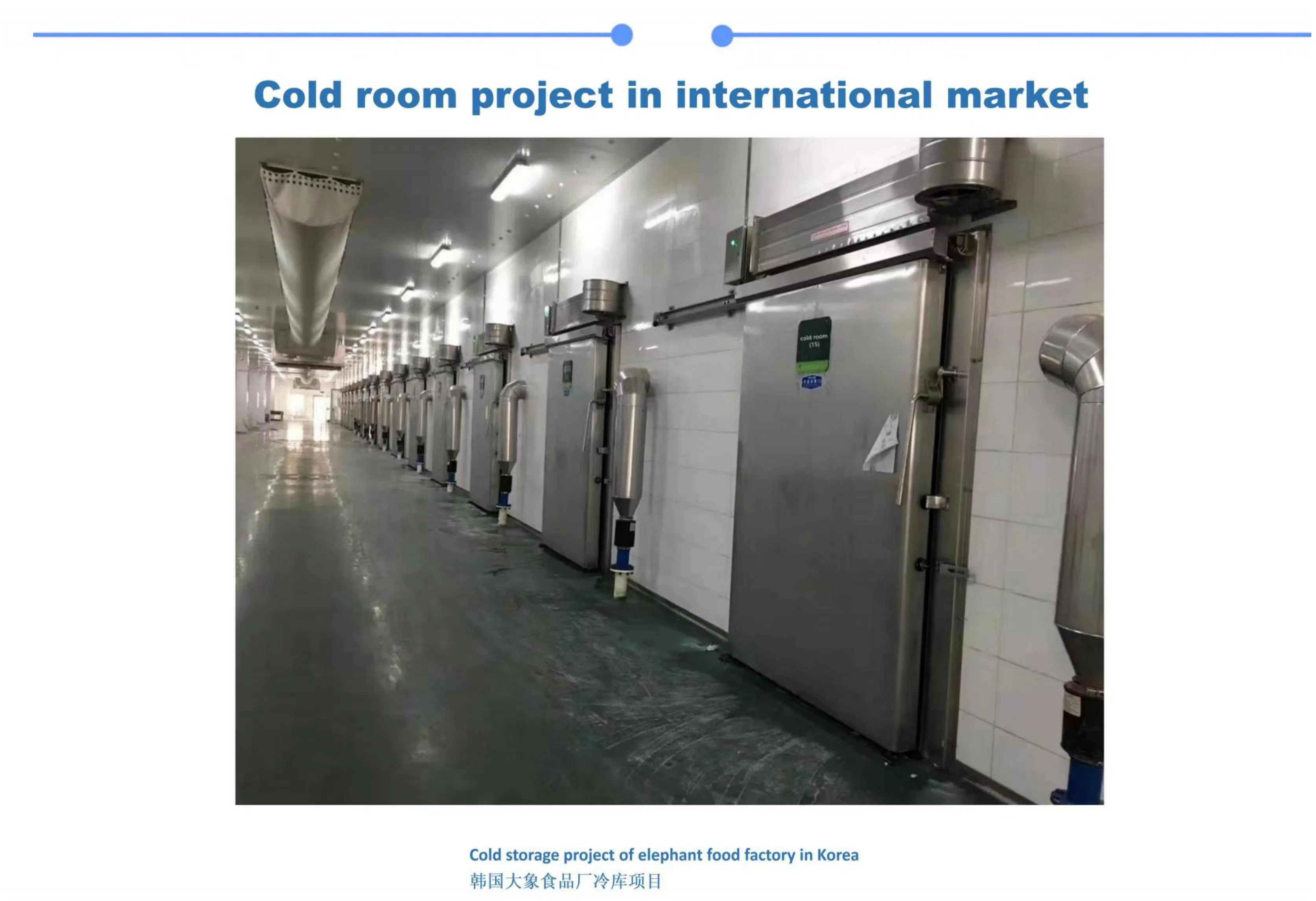 Kendall Walk in Chiller Cold Room Solar Powered Container Industrial Refrigerator