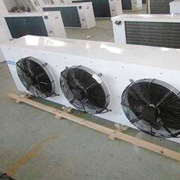 High Quality Walk in Cold Storage Room