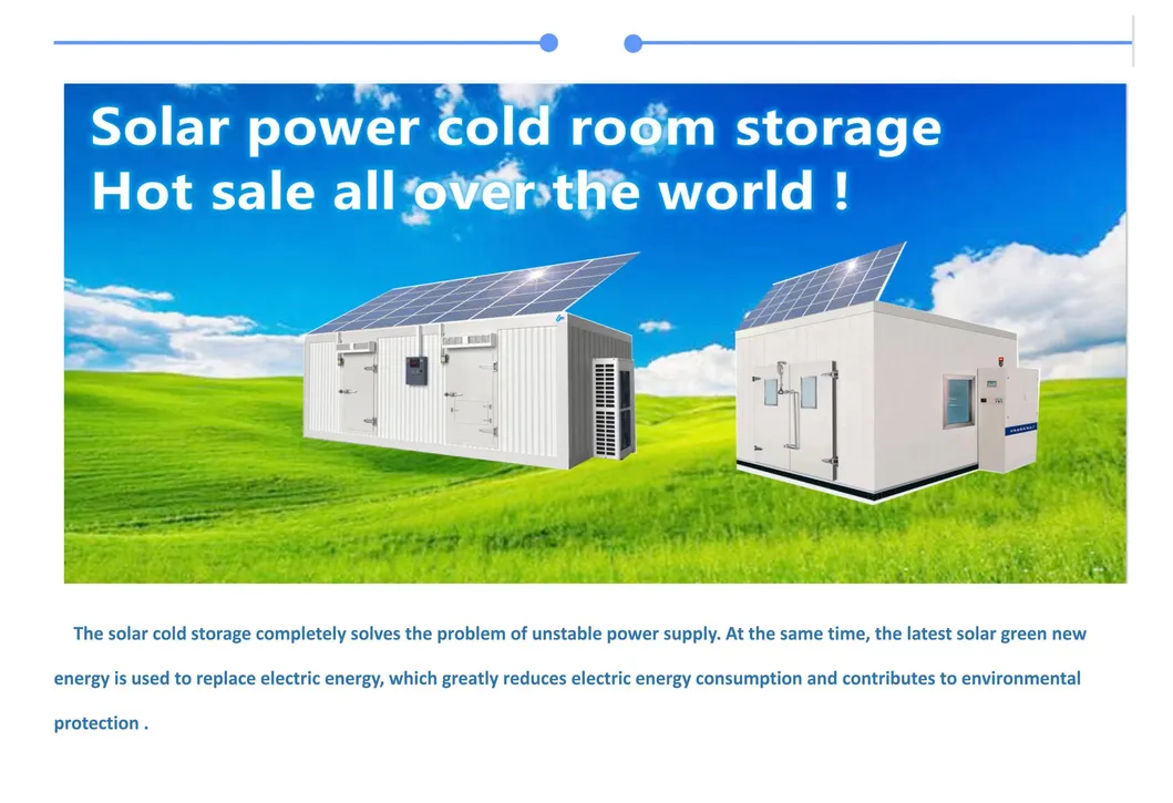 Solar Cold Store Detail