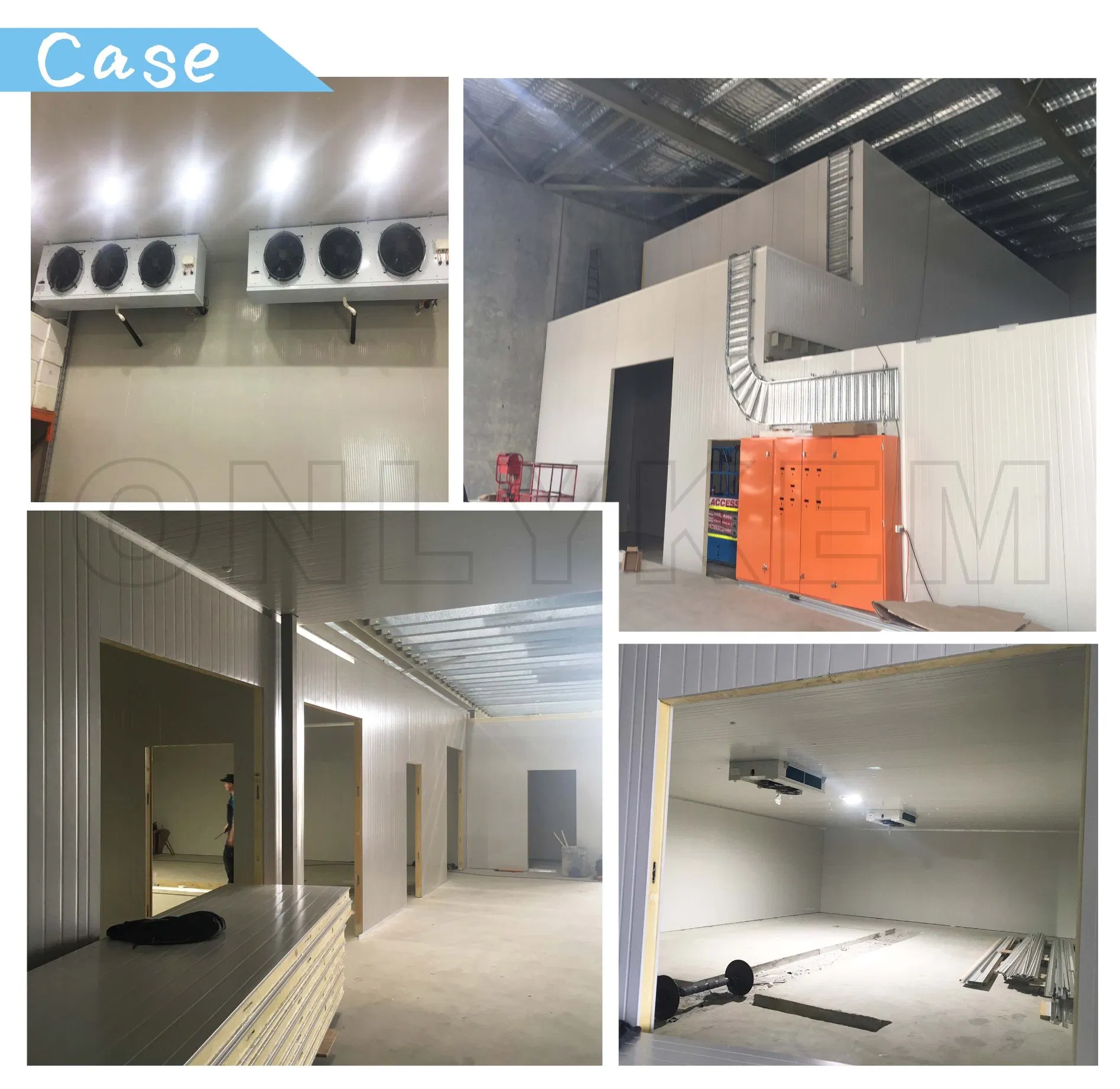 Customized Large Cold Room Storage Walk in Blast Freezer Room for Meat