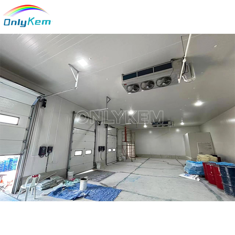 Large Capacity Walk in Cold Storage Room Freezer Chambre Froide for Fish