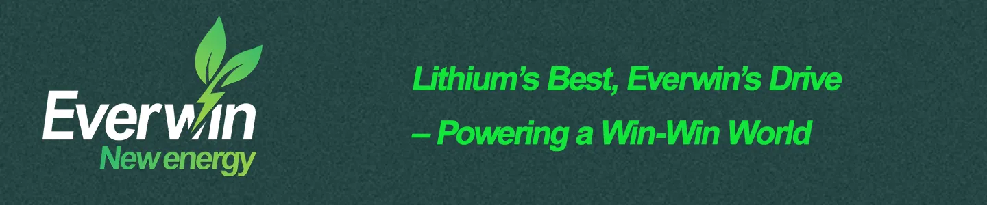 Pouch Cell Battery Overview