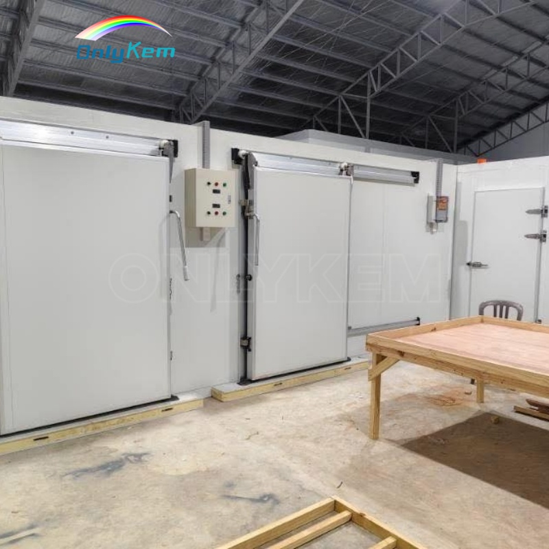 Walk in Cold Room 20 FT Refrgirater Container for Vegetables and Fruits