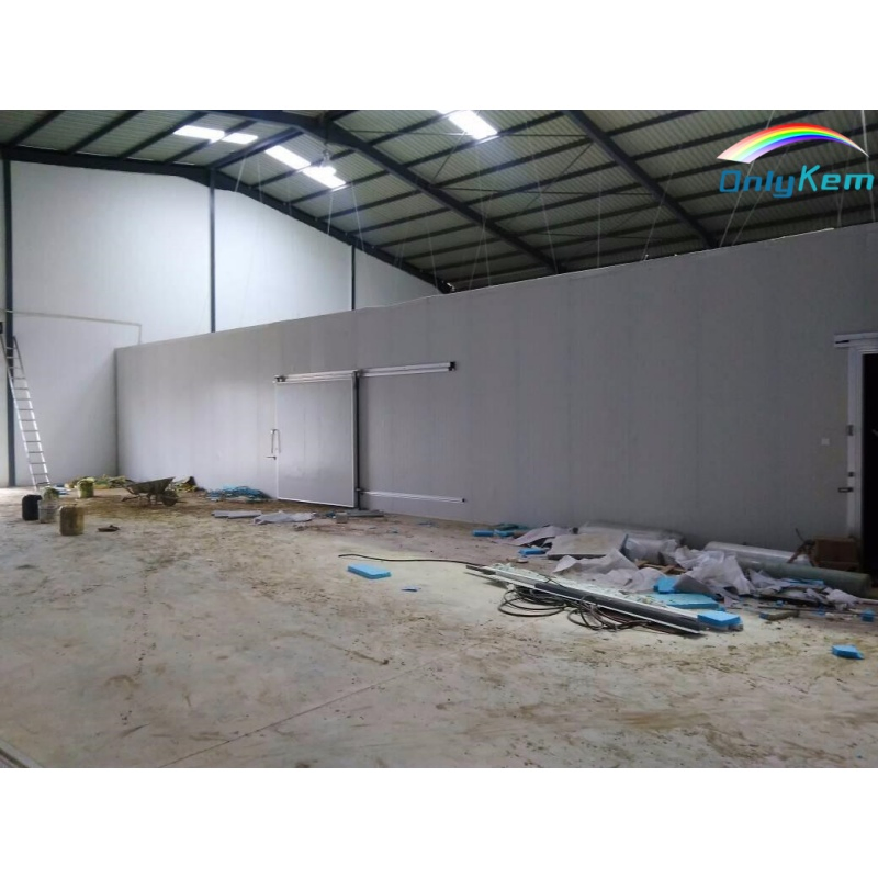 Stainless Steel Cold Storage Walk-in Cooler &amp; Freezer for Food Processing