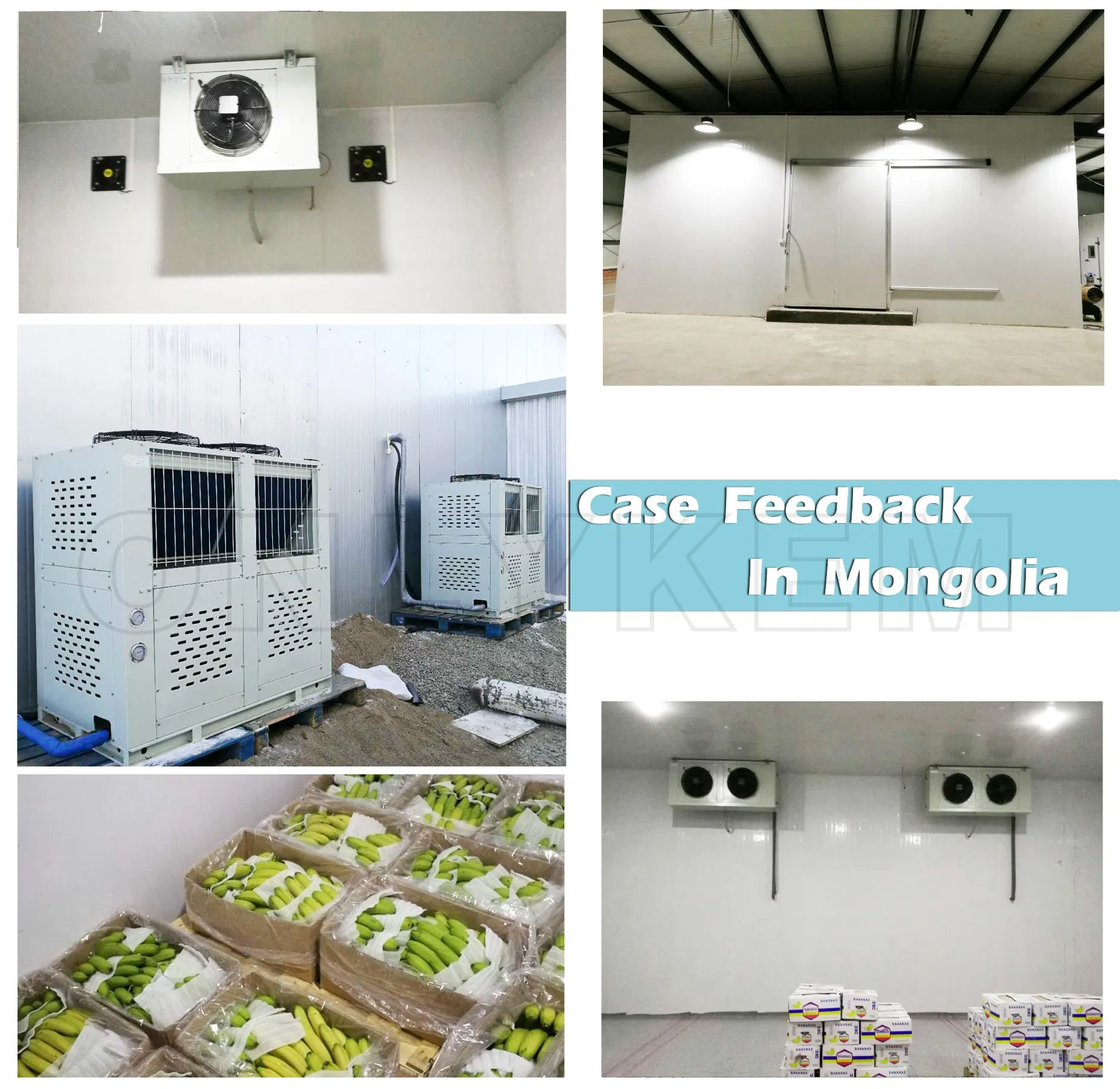Customized Large Cold Room Storage Walk in Blast Freezer Room for Meat
