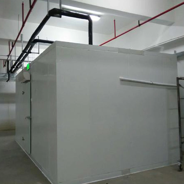 High Quality Industrial Walk in Blast Deep Freezer Food Storage Cold Room