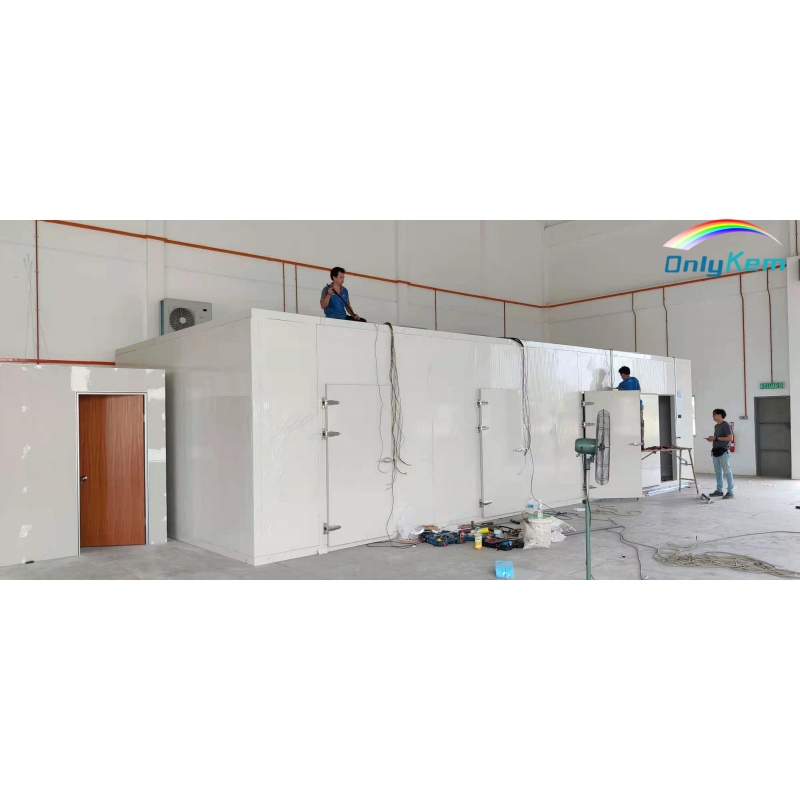 Cold Storage High Efficiency Walk in Freezer Blast Freezer Room for Fish