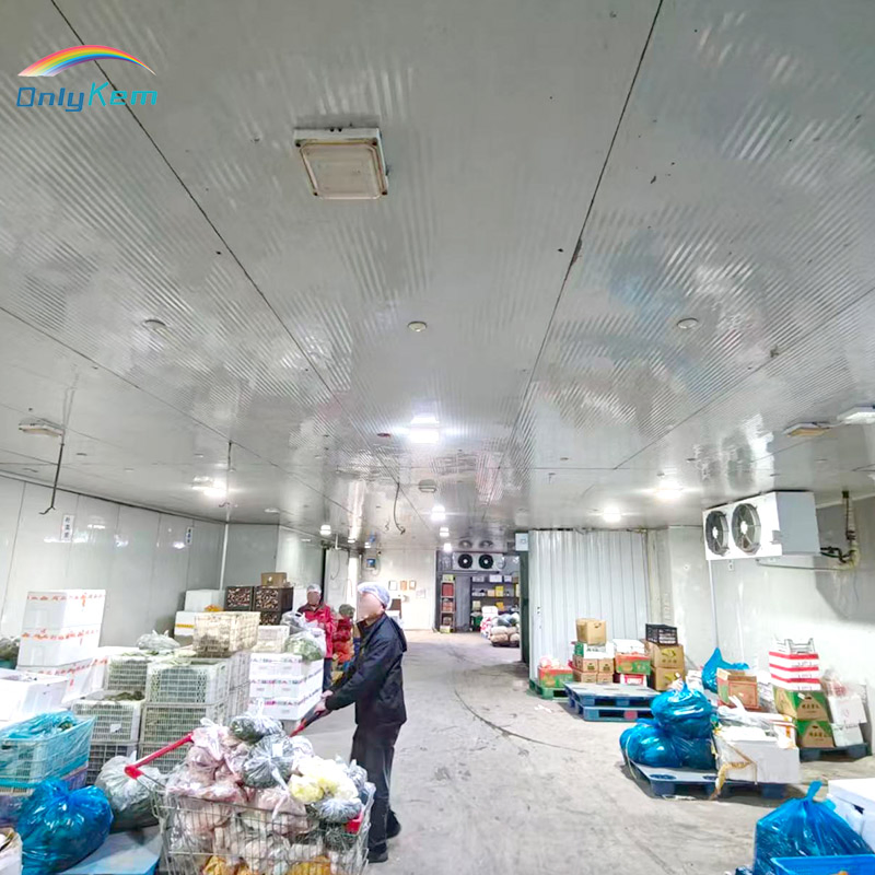 Customized Large Cold Room Storage Walk in Blast Freezer Room for Meat