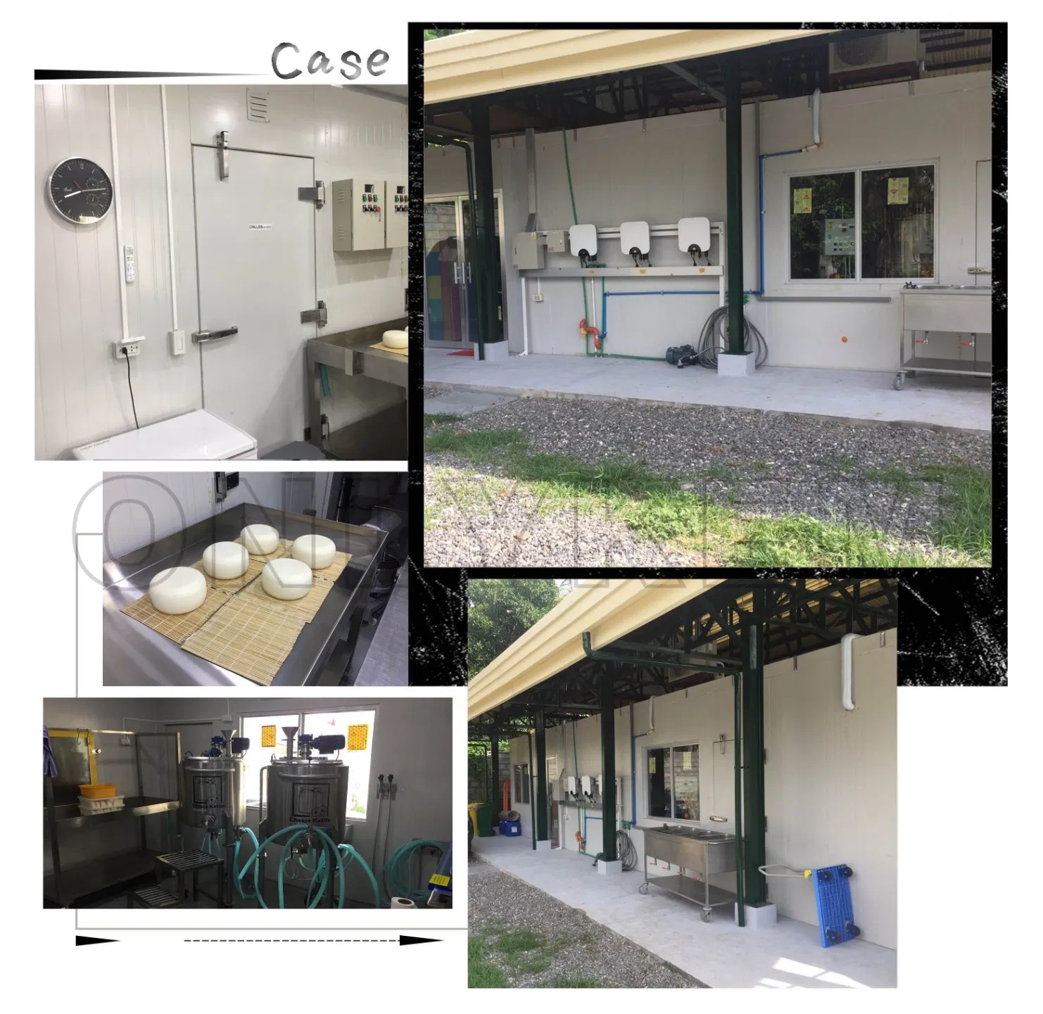 NSF CE Solar-Powered Frozen Meat Walk in Freezer Room for Fish