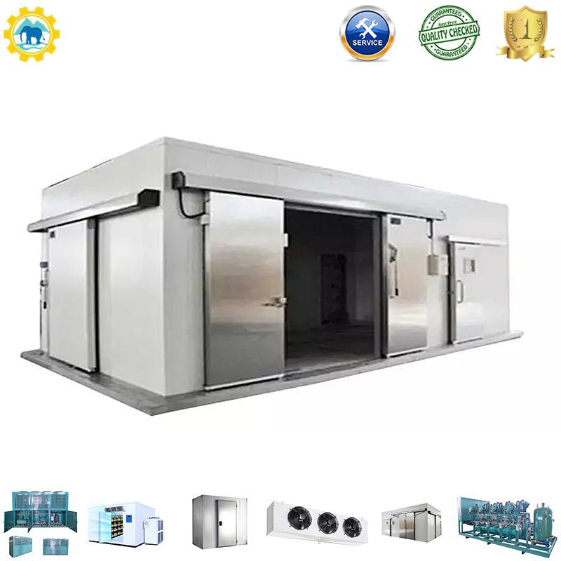 Fruit Fish Storage Walk in Freezer Solar Power Cold Room