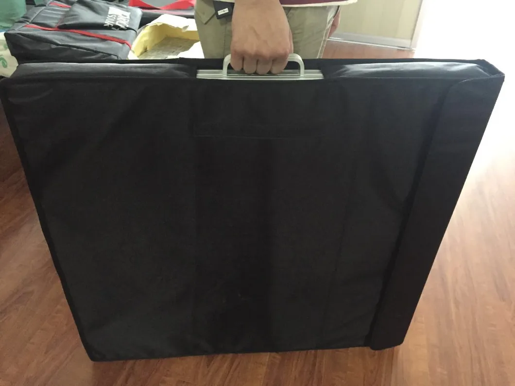 Portable Solar Details