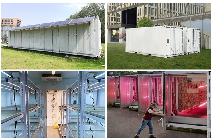 Walk in Cooler Mushroom Growing Room Mushrooms Freshness Cold Room