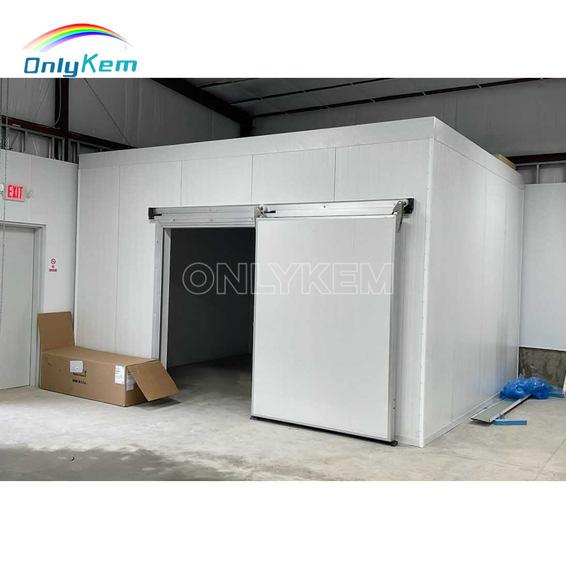 NSF CE Solar-Powered Frozen Meat Walk in Freezer Room for Fish