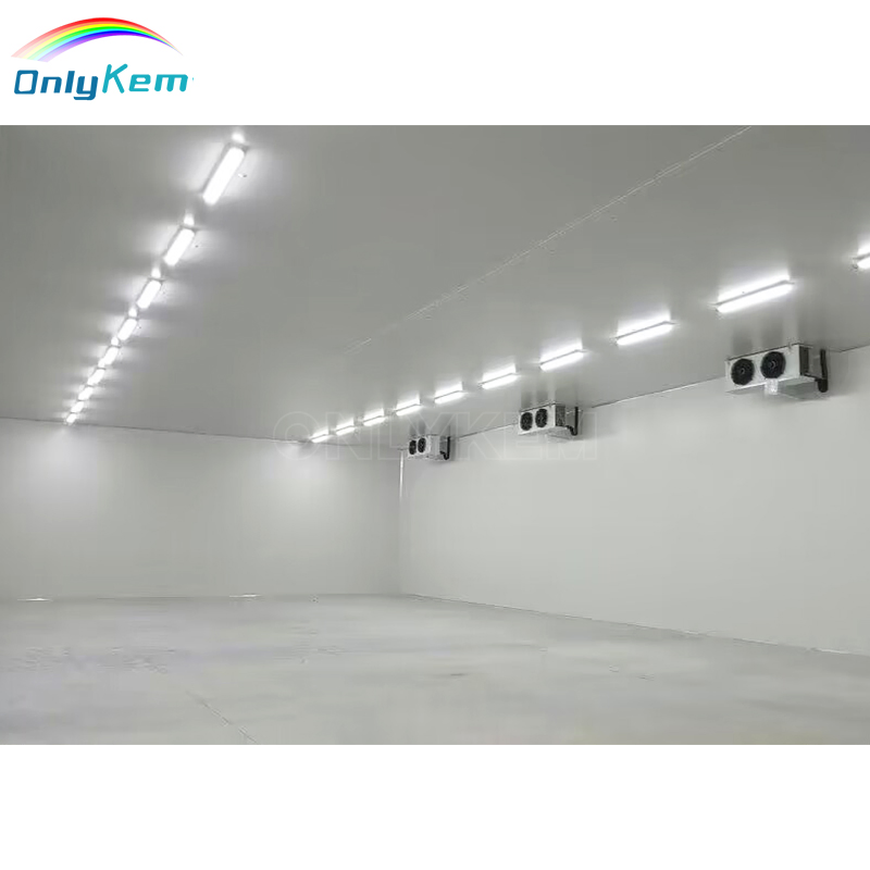 Large Capacity Walk in Cold Storage Room Freezer Chambre Froide for Fish