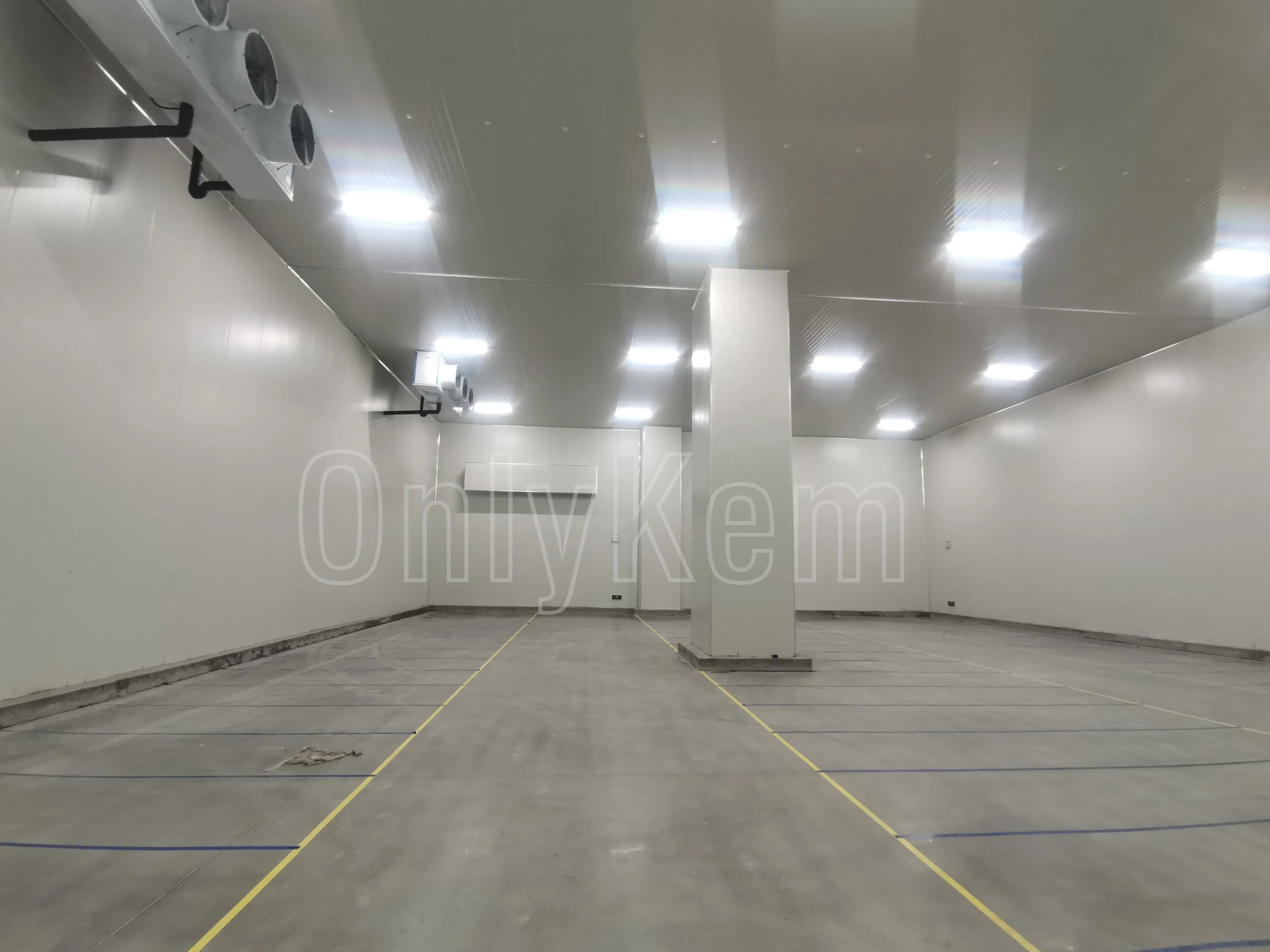 Large Capacity Walk in Cold Storage Room Freezer Chambre Froide for Fish