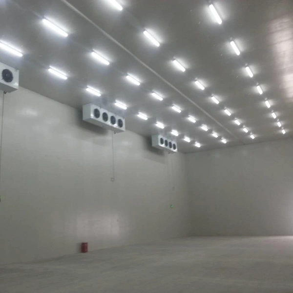 High Quality Walk in Refrigerator and Freezer Room
