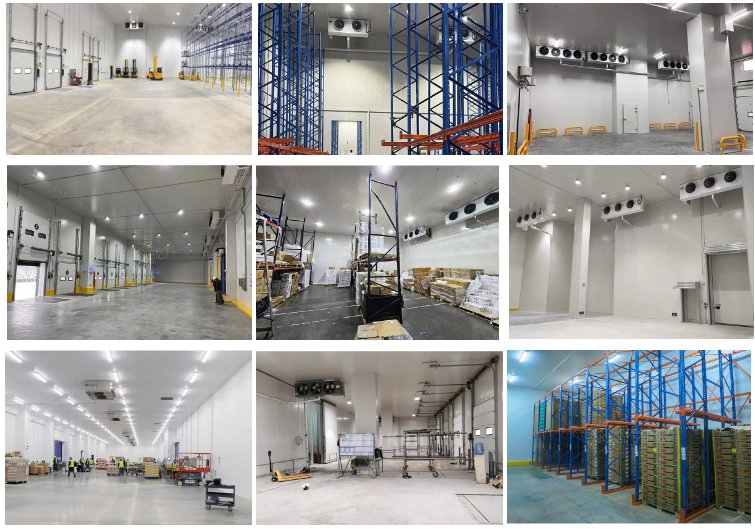 Large Capacity Walk in Cold Storage Room Freezer Chambre Froide for Fish