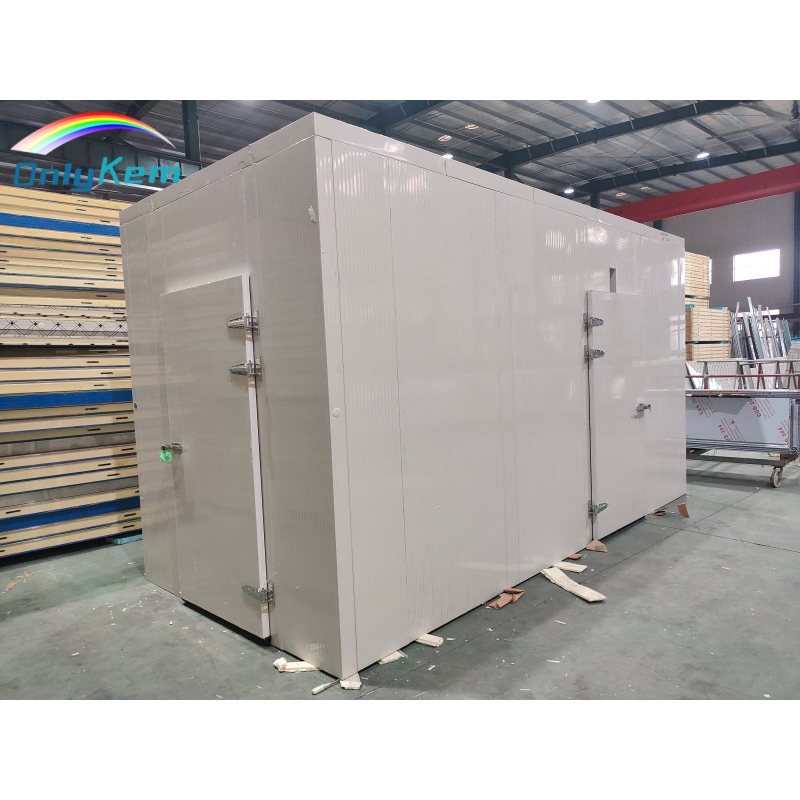 NSF CE Solar-Powered Frozen Meat Walk in Freezer Room for Fish