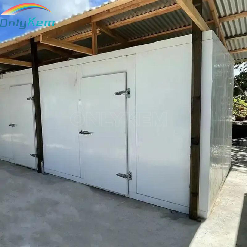 Walk-in Chiller Room for Fruits and Vegetables Cold Storage Room NSF ETL