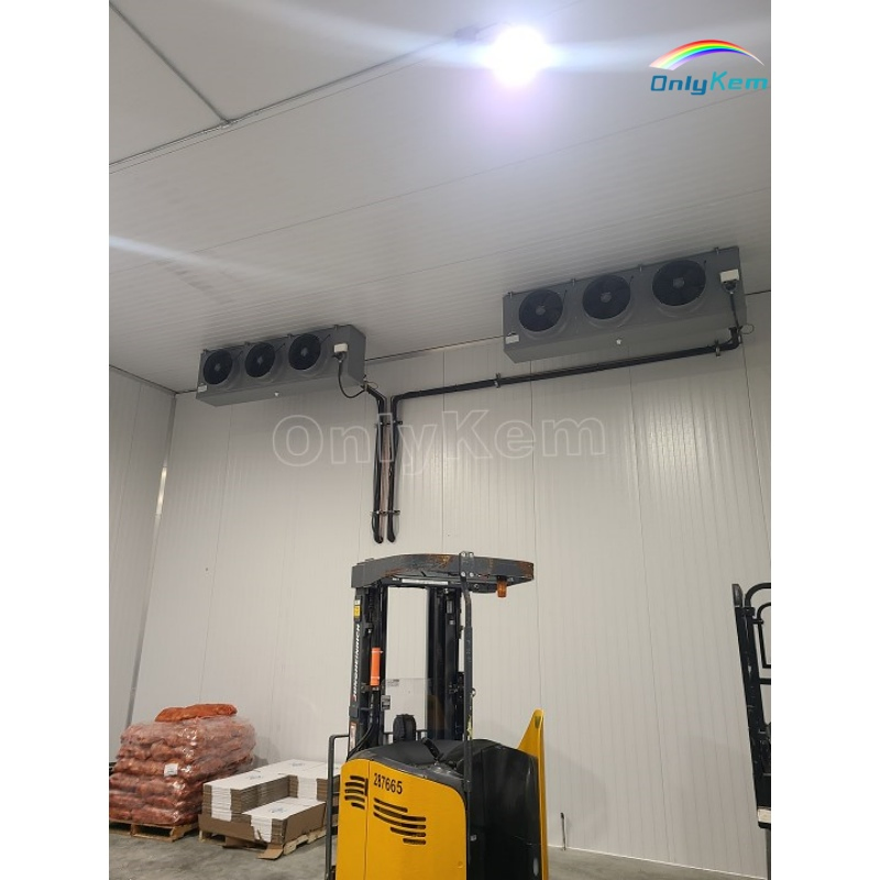 Cold Storage High Efficiency Walk in Freezer Blast Freezer Room for Fish