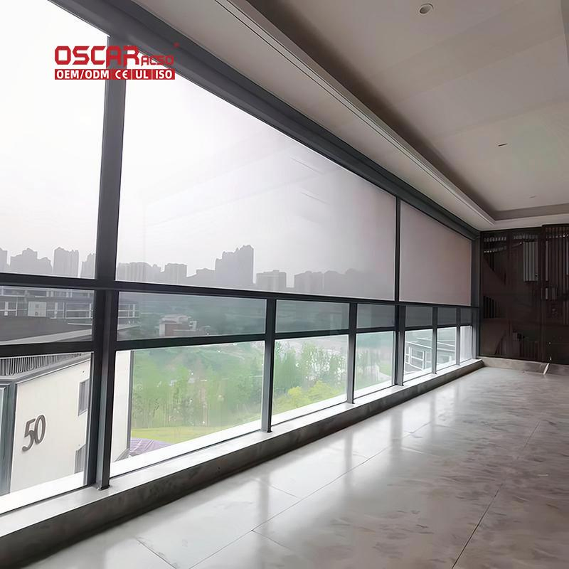 Rollup Outdoor Solar Transparent Sunscreen Clear Screen Roller S for Balconies Gardens Patios Roller Blind