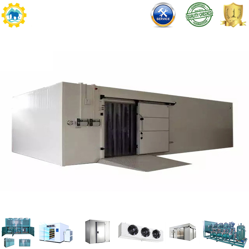 Fruit Fish Storage Walk in Freezer Solar Power Cold Room