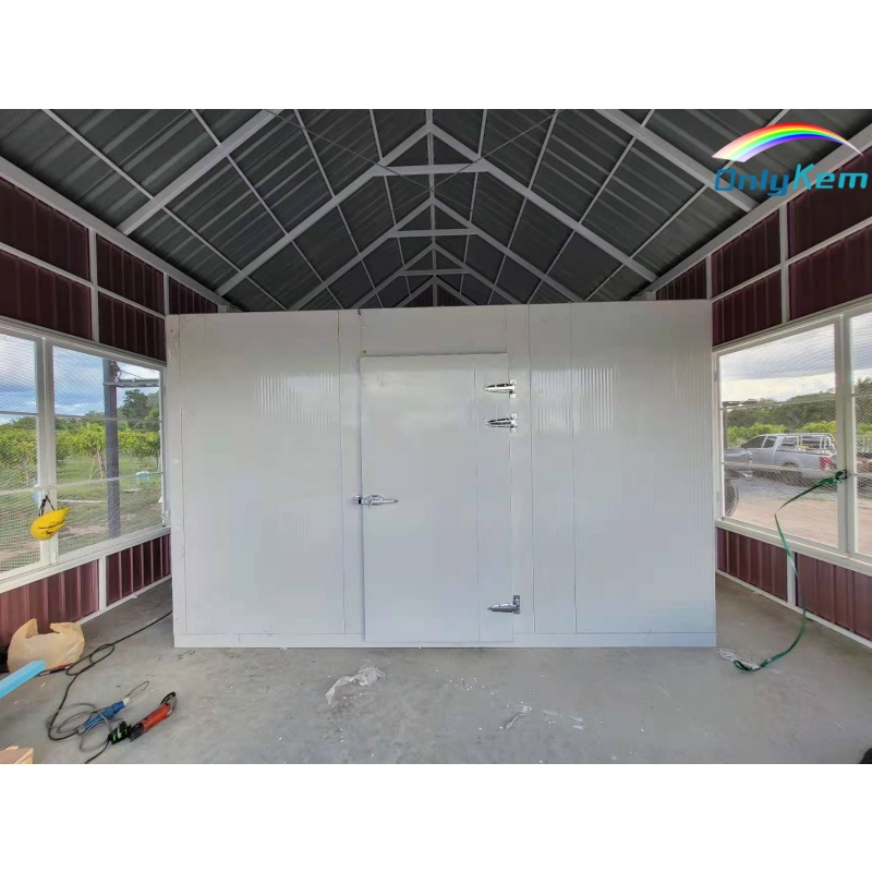 Stainless Steel Cold Storage Walk-in Cooler &amp; Freezer for Food Processing
