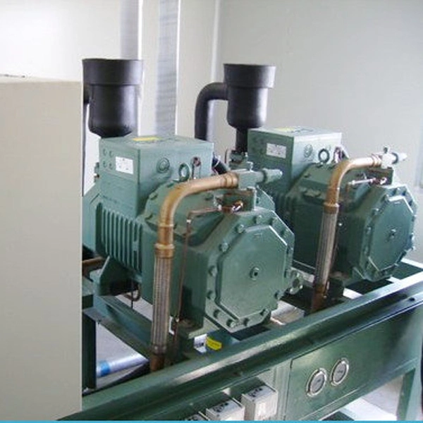 High Quality Walk in Refrigerator and Freezer Room